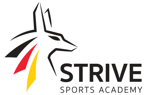 STRIVE WEB LOGO